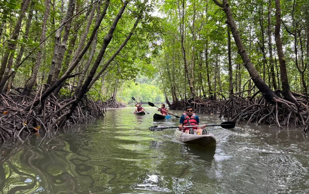 Kilim Geoforest Park