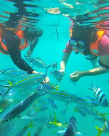 Snorkeling