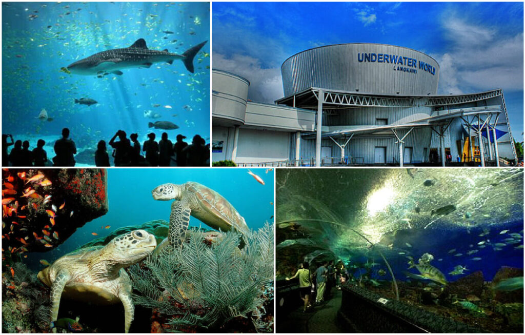 underwater-world-langkawi